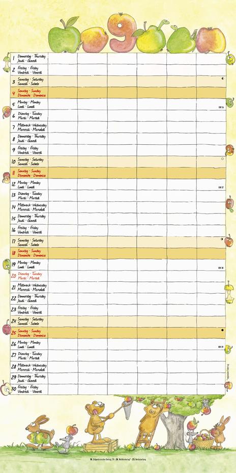 Calendario 2022 da muro Alpha Edition, Organizza famiglia, 12 mesi, 30x30 cm - 11