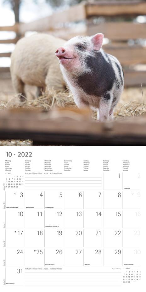Calendario 2022 da muro Alpha Edition, Cuddly Animals, 12 mesi, 30x30 cm - 12