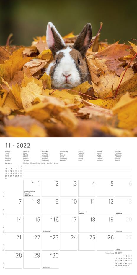 Calendario 2022 da muro Alpha Edition, Cuddly Animals, 12 mesi, 30x30 cm - 13