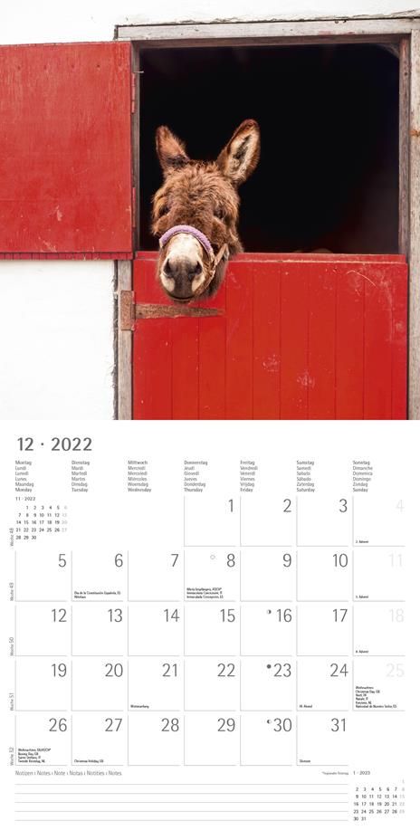 Calendario 2022 da muro Alpha Edition, Cuddly Animals, 12 mesi, 30x30 cm - 14