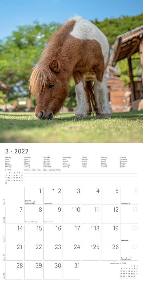 Calendario 2022 da muro Alpha Edition, Cuddly Animals, 12 mesi, 30x30 cm - 5