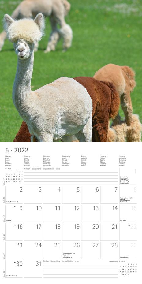 Calendario 2022 da muro Alpha Edition, Cuddly Animals, 12 mesi, 30x30 cm - 7