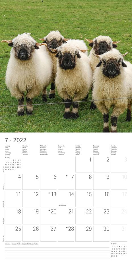 Calendario 2022 da muro Alpha Edition, Cuddly Animals, 12 mesi, 30x30 cm - 9