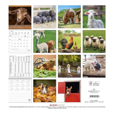 Calendario 2022 da muro Alpha Edition, Cuddly Animals, 12 mesi, 30x30 cm - 15