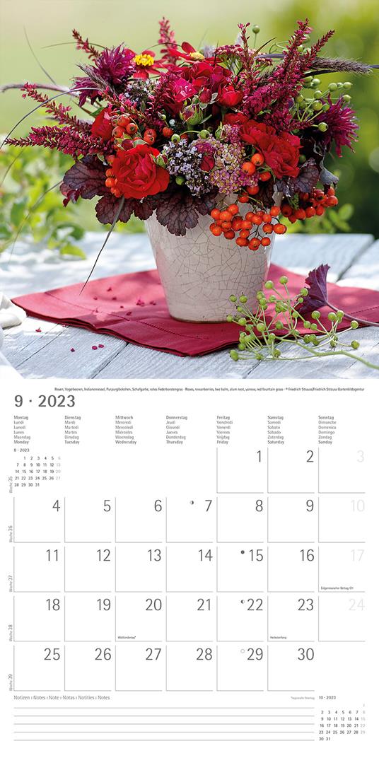 Calendario 2023 da muro Fiori, Alpha Edition, 12 mesi, 30x30 cm - 11