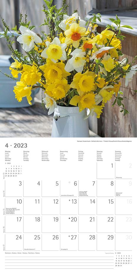 Calendario 2023 da muro Fiori, Alpha Edition, 12 mesi, 30x30 cm - 6