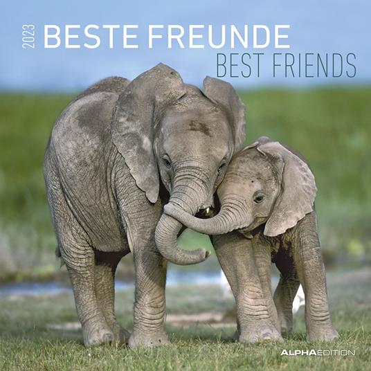 Calendario 2023 da muro Best Friends, Alpha Edition, 12 mesi, 30x30 cm