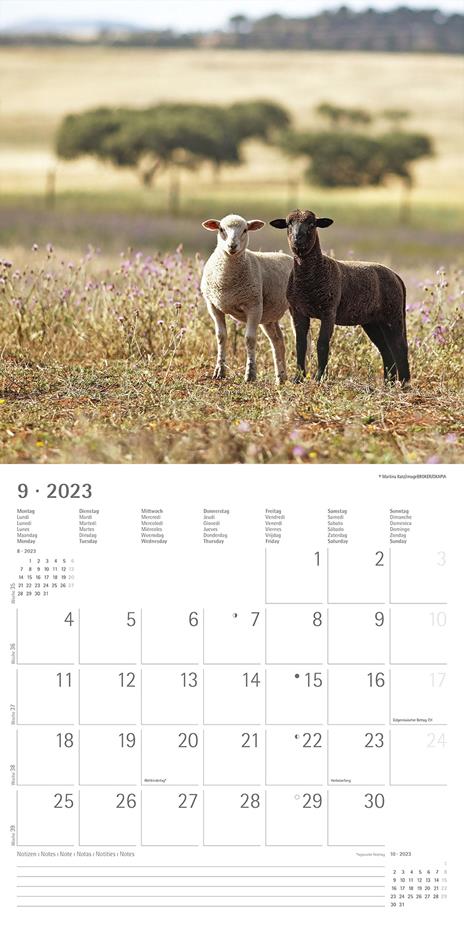 Calendario 2023 da muro Best Friends, Alpha Edition, 12 mesi, 30x30 cm - 11