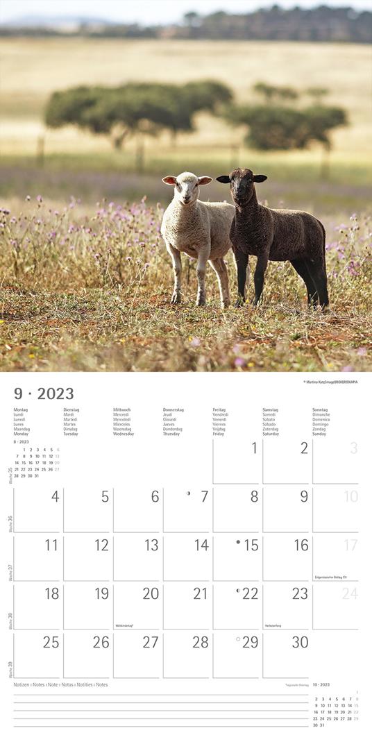 Calendario 2023 da muro Best Friends, Alpha Edition, 12 mesi, 30x30 cm - 11