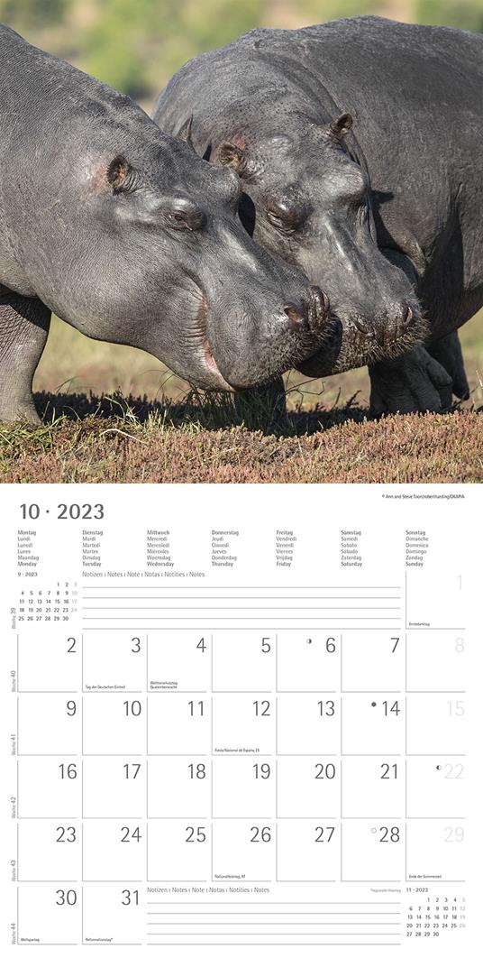 Calendario 2023 da muro Best Friends, Alpha Edition, 12 mesi, 30x30 cm - 12