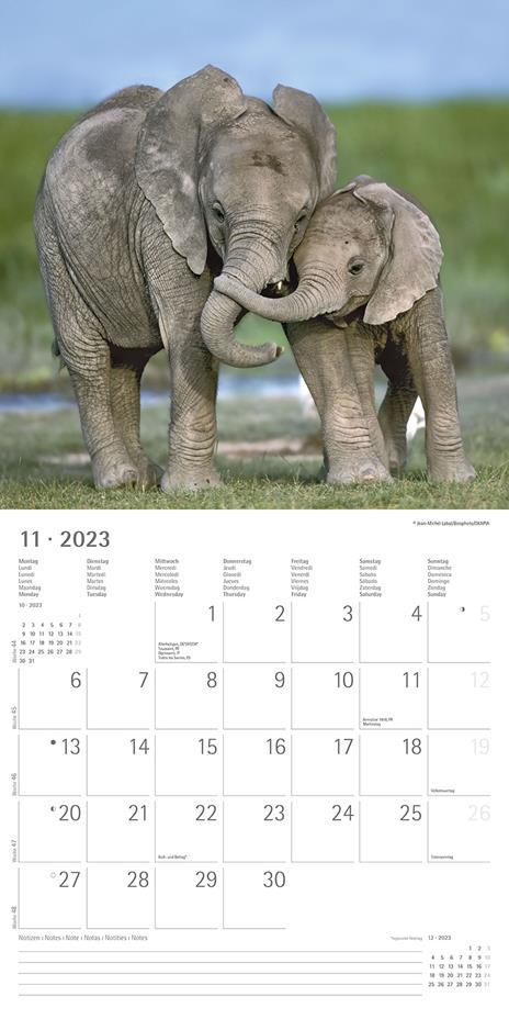 Calendario 2023 da muro Best Friends, Alpha Edition, 12 mesi, 30x30 cm - 13