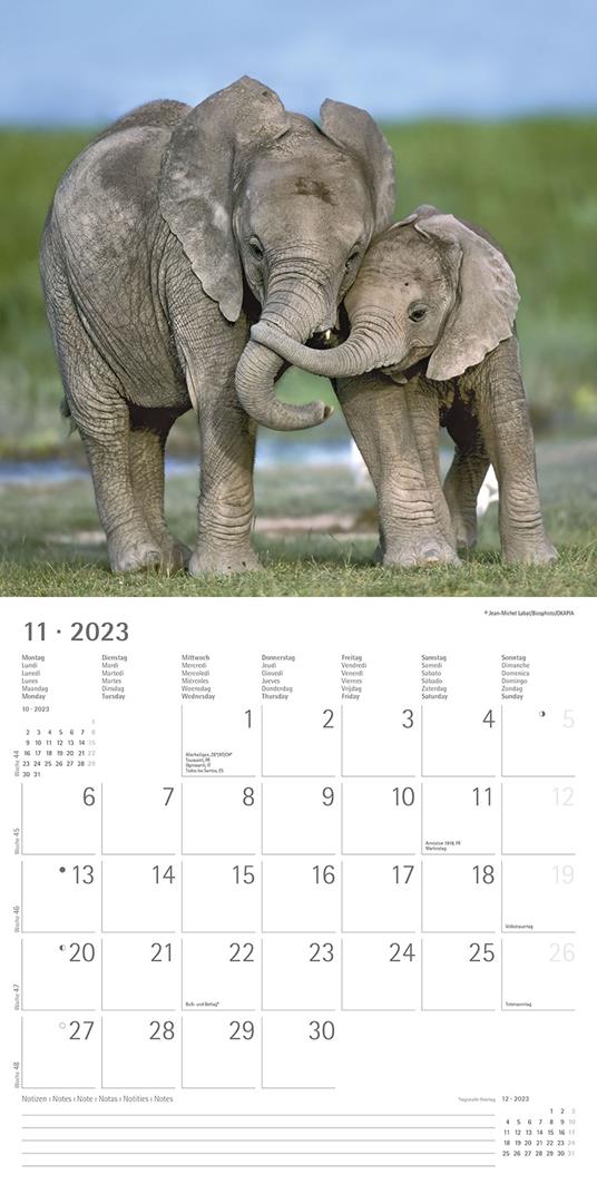 Calendario 2023 da muro Best Friends, Alpha Edition, 12 mesi, 30x30 cm - 13