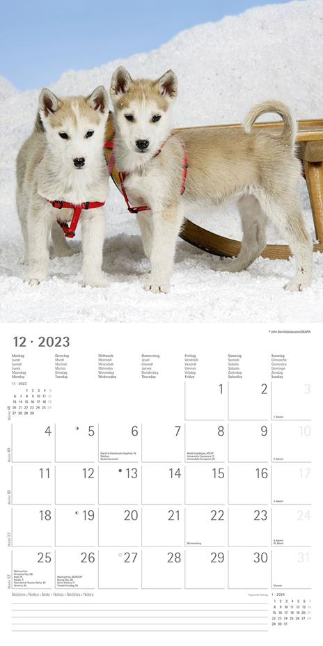 Calendario 2023 da muro Best Friends, Alpha Edition, 12 mesi, 30x30 cm - 14