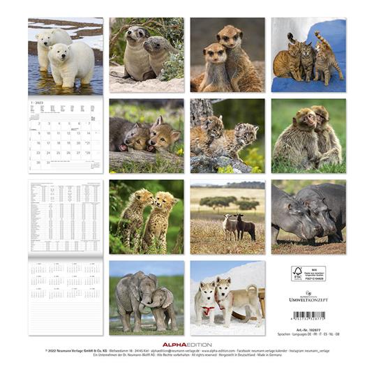Calendario 2023 da muro Best Friends, Alpha Edition, 12 mesi, 30x30 cm - 15