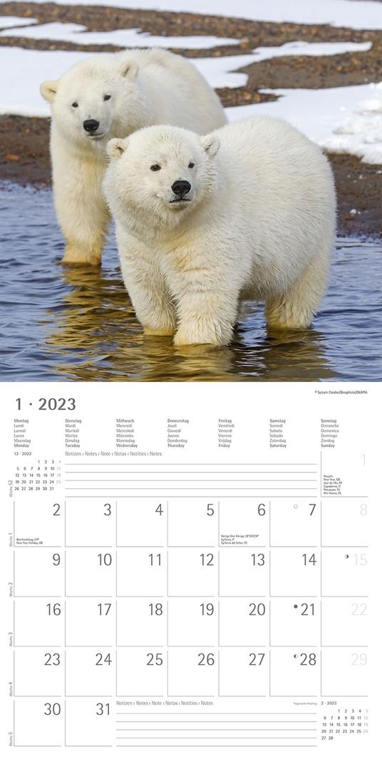 Calendario 2023 da muro Best Friends, Alpha Edition, 12 mesi, 30x30 cm - 3