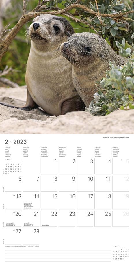 Calendario 2023 da muro Best Friends, Alpha Edition, 12 mesi, 30x30 cm - 4