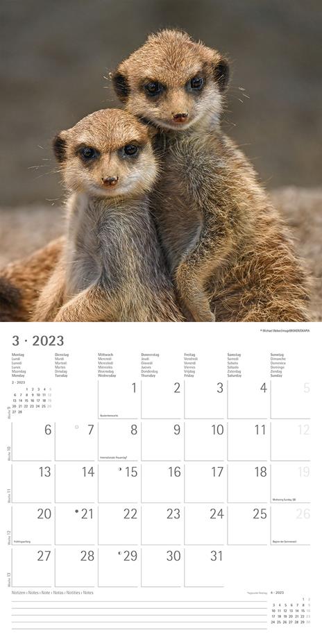 Calendario 2023 da muro Best Friends, Alpha Edition, 12 mesi, 30x30 cm - 5