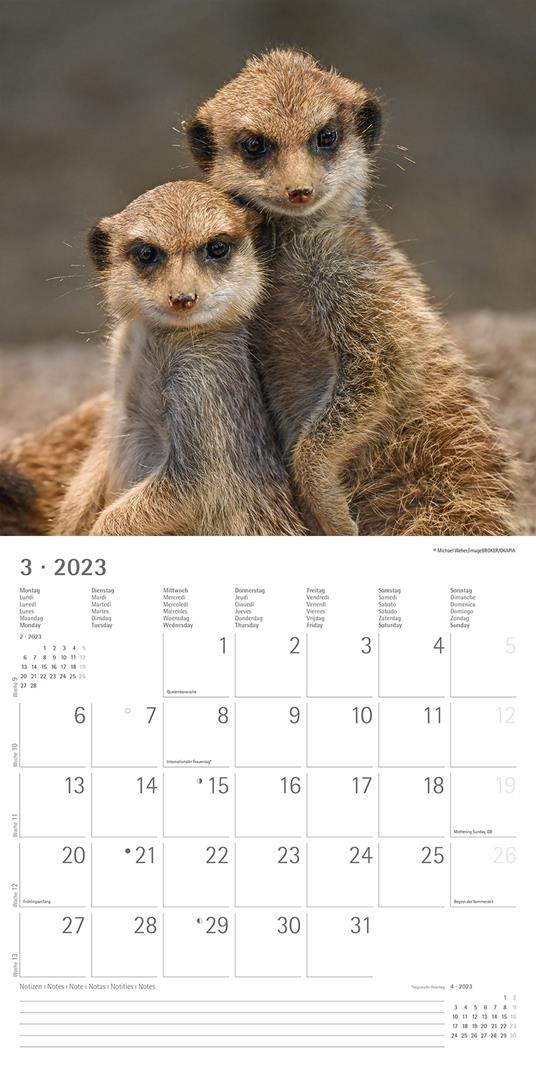 Calendario 2023 da muro Best Friends, Alpha Edition, 12 mesi, 30x30 cm - 5