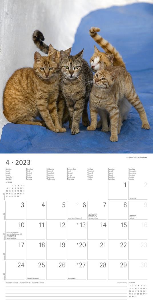 Calendario 2023 da muro Best Friends, Alpha Edition, 12 mesi, 30x30 cm - 6