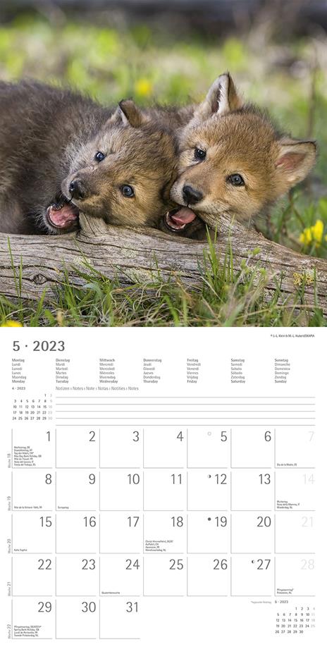 Calendario 2023 da muro Best Friends, Alpha Edition, 12 mesi, 30x30 cm - 7
