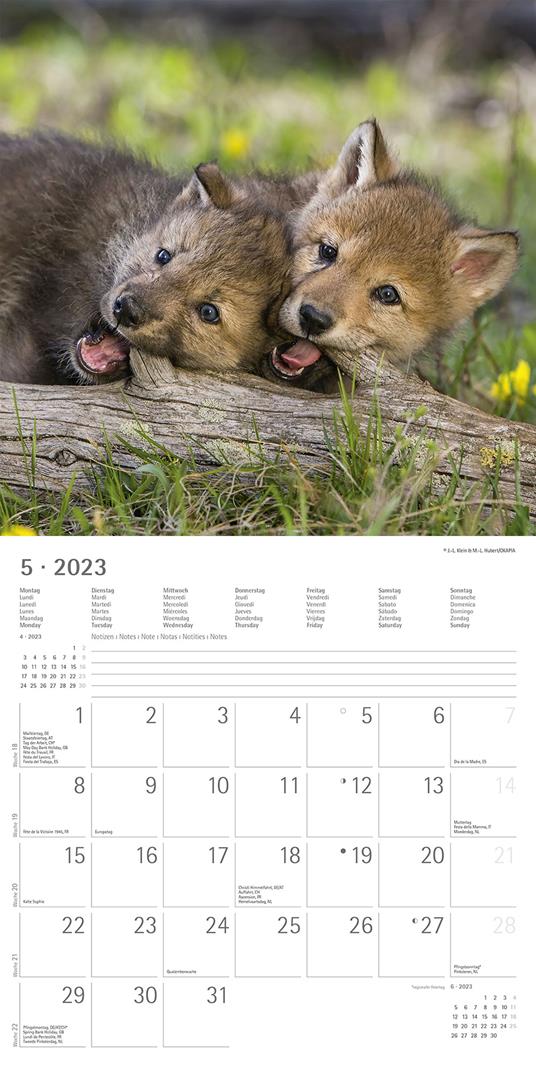 Calendario 2023 da muro Best Friends, Alpha Edition, 12 mesi, 30x30 cm - 7
