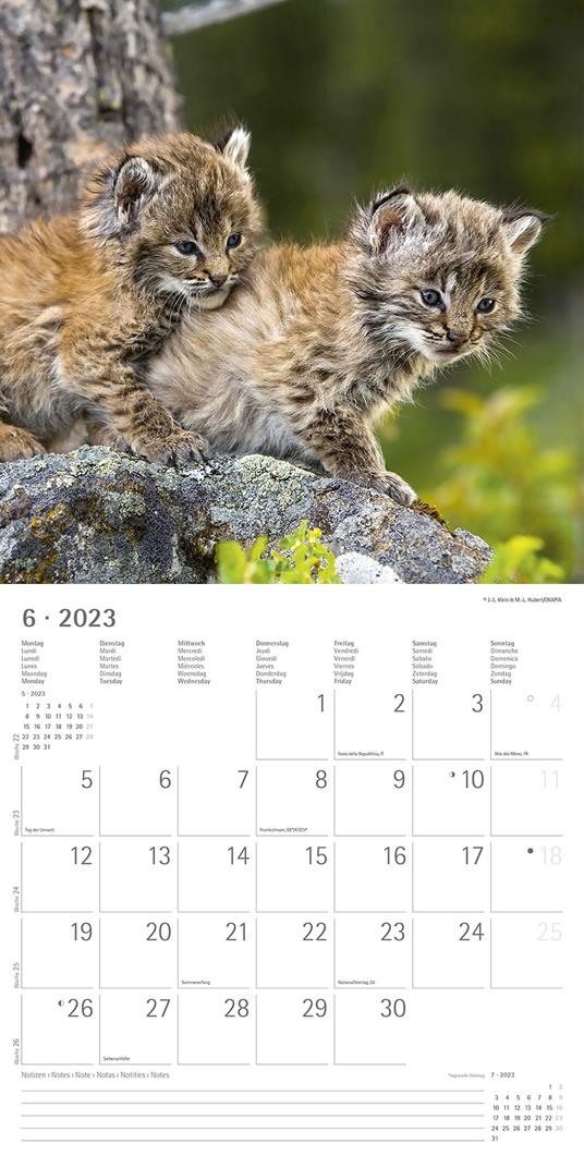 Calendario 2023 da muro Best Friends, Alpha Edition, 12 mesi, 30x30 cm - 8