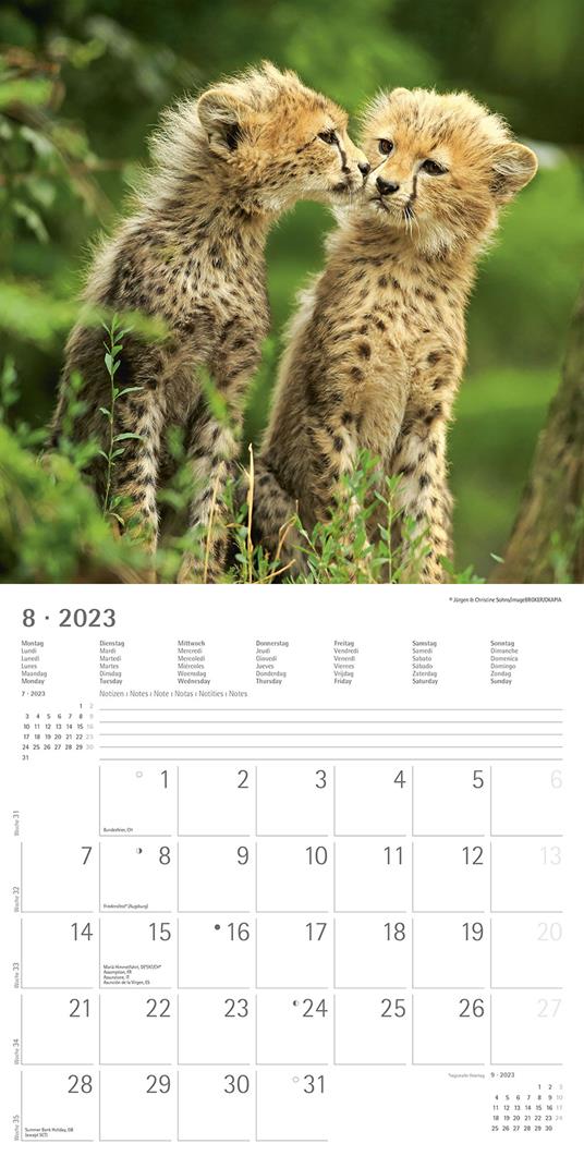 Calendario 2023 da muro Best Friends, Alpha Edition, 12 mesi, 30x30 cm - 10