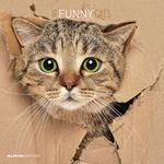 Calendario 2023 da muro Funny Cats, Alpha Edition, 12 mesi, 30x30 cm