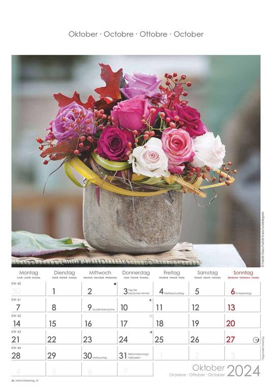 Alpha Edition - Calendario 2024 da muro Rose Dreams, 12 mesi, 23,7x34 cm - 11