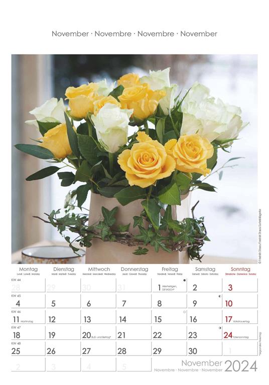 Alpha Edition - Calendario 2024 da muro Rose Dreams, 12 mesi, 23,7x34 cm - 12