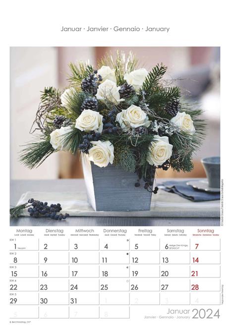 Alpha Edition - Calendario 2024 da muro Rose Dreams, 12 mesi, 23,7x34 cm - 2