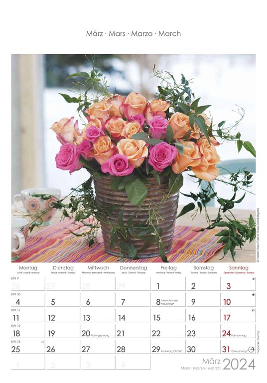Alpha Edition - Calendario 2024 da muro Rose Dreams, 12 mesi, 23,7x34 cm - 4