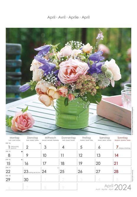 Alpha Edition - Calendario 2024 da muro Rose Dreams, 12 mesi, 23,7x34 cm - 5