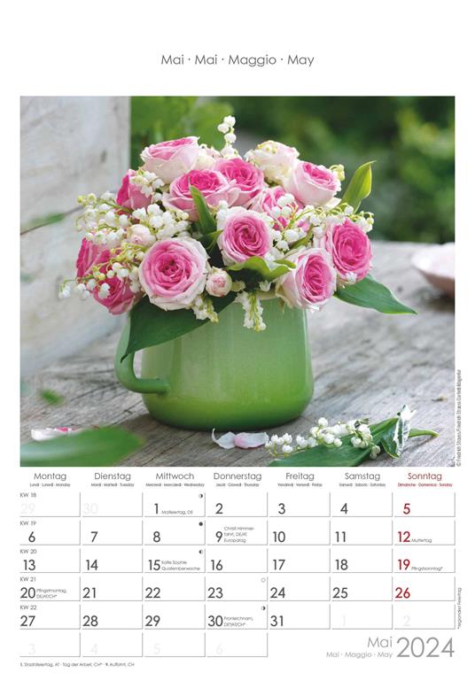 Alpha Edition - Calendario 2024 da muro Rose Dreams, 12 mesi, 23,7x34 cm - 6