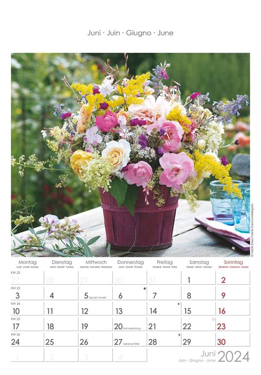 Alpha Edition - Calendario 2024 da muro Rose Dreams, 12 mesi, 23,7x34 cm - 7