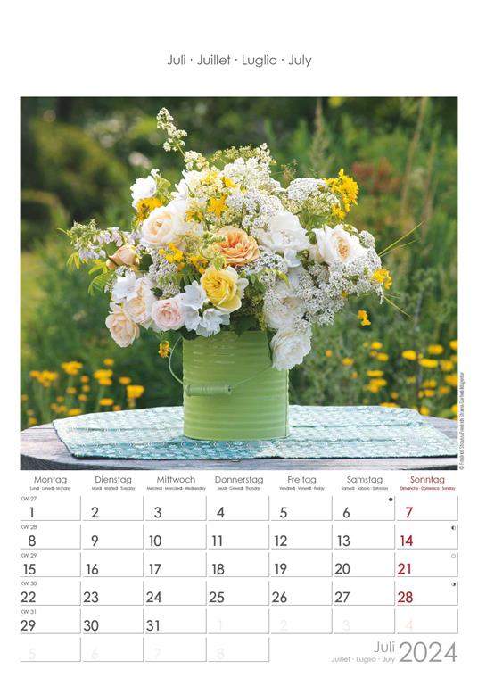 Alpha Edition - Calendario 2024 da muro Rose Dreams, 12 mesi, 23,7x34 cm - 8