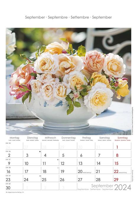 Alpha Edition - Calendario 2024 da muro Rose Dreams, 12 mesi, 23,7x34 cm - 10