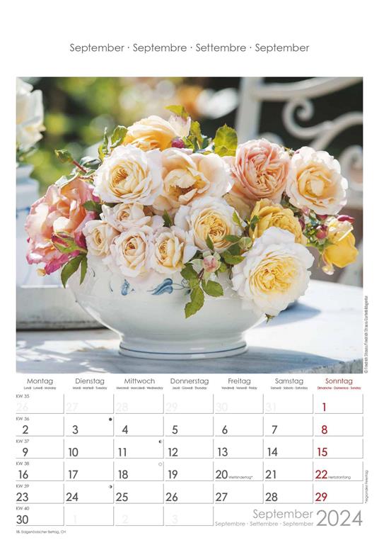 Alpha Edition - Calendario 2024 da muro Rose Dreams, 12 mesi, 23,7x34 cm - 10