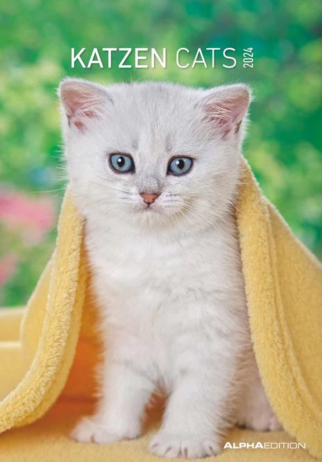 Alpha Edition - Calendario 2024 da muro Cats, 12 mesi, 23,7x34 cm