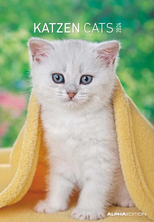 Alpha Edition - Calendario 2024 da muro Cats, 12 mesi, 23,7x34 cm