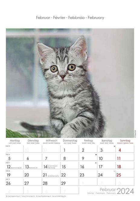 Alpha Edition - Calendario 2024 da muro Cats, 12 mesi, 23,7x34 cm - 3