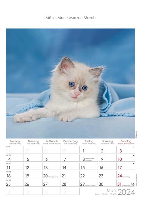 Alpha Edition - Calendario 2024 da muro Cats, 12 mesi, 23,7x34 cm - 4