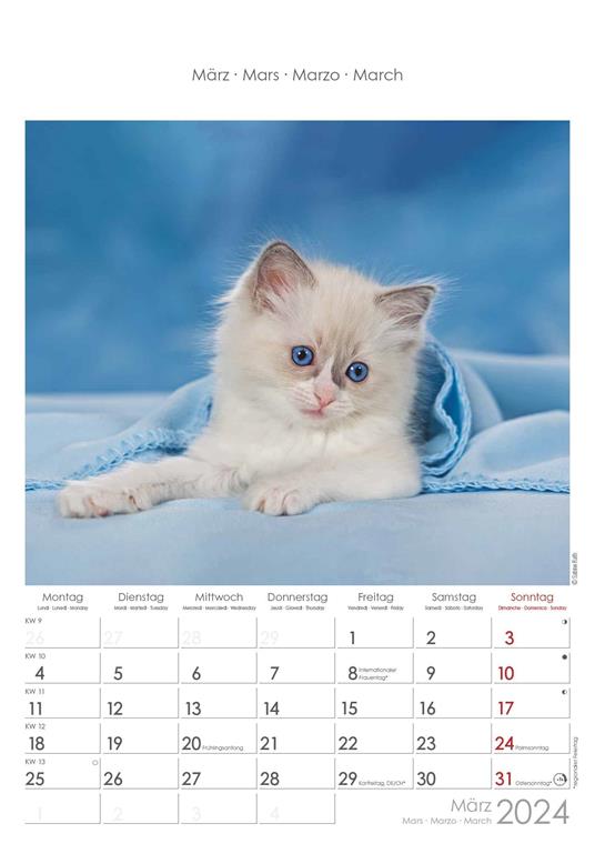 Alpha Edition - Calendario 2024 da muro Cats, 12 mesi, 23,7x34 cm - 4