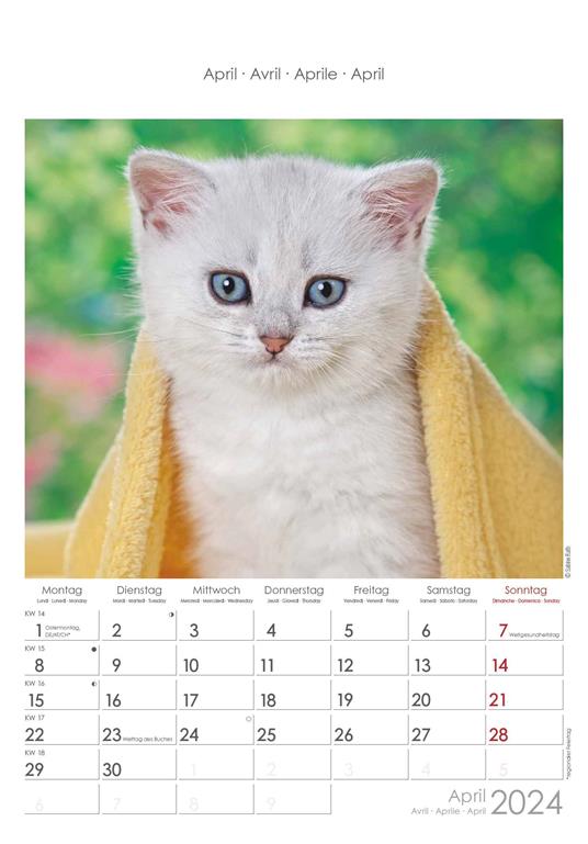 Alpha Edition - Calendario 2024 da muro Cats, 12 mesi, 23,7x34 cm - 5