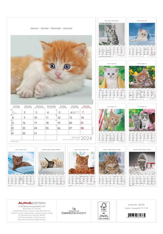 Alpha Edition - Calendario 2024 da muro Cats, 12 mesi, 23,7x34 cm - 14