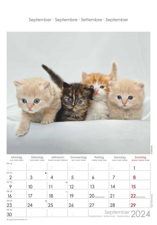 Alpha Edition - Calendario 2024 da muro Cats, 12 mesi, 23,7x34 cm - 10