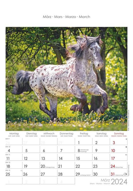 Alpha Edition - Calendario 2024 da muro Horses, 12 mesi, 23,7x34 cm - 4