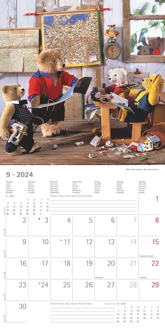 Alpha Edition - Calendario 2024 da muro Teddy, 12 mesi, 30x30 cm - 11