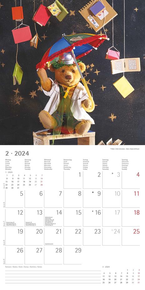 Alpha Edition - Calendario 2024 da muro Teddy, 12 mesi, 30x30 cm - 3