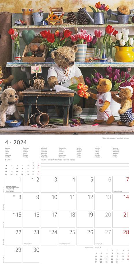 Alpha Edition - Calendario 2024 da muro Teddy, 12 mesi, 30x30 cm - 5